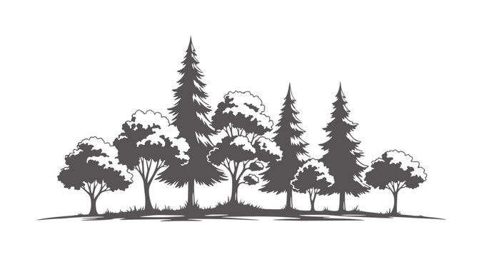 Dark silhouette forest landscape with varied trees and grass