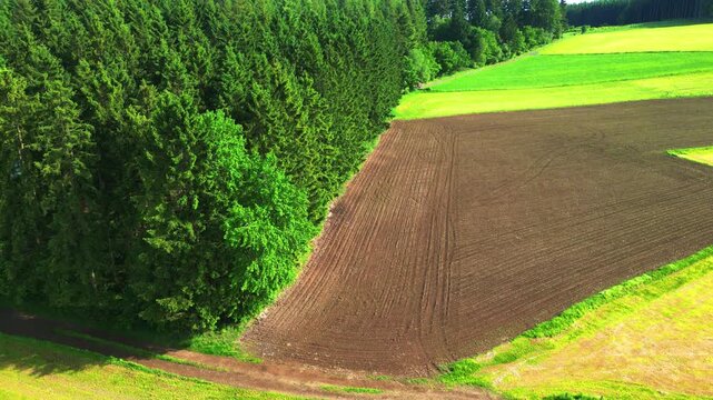 Aerial Drone Footage of Plowed Farmland and Pasture with Silage Bales Beside Pine Forest in Haute Fagnes, Belgium
