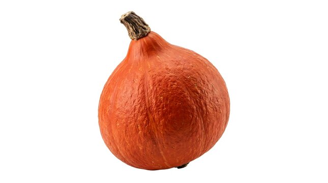 Hokkaido pumpkin isolated on white background, vibrant orange red kuri squash with stem, fresh organic autumn vegetable for seasonal cooking
