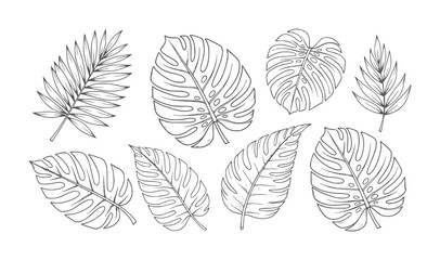 Hand Drawn Tropical Leaves Collection Line leaf monstera palm fern © Mahin