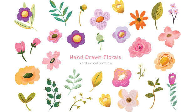 Watercolor Flower Collection Illustration