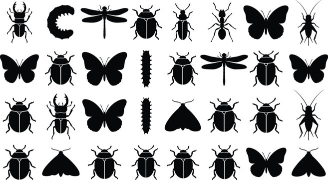 Insect and Bug Silhouette Icon Set Featuring Butterflies Beetles Dragonflies Ants Caterpillars and Grasshoppers for Entomology Educational Graphic Designs