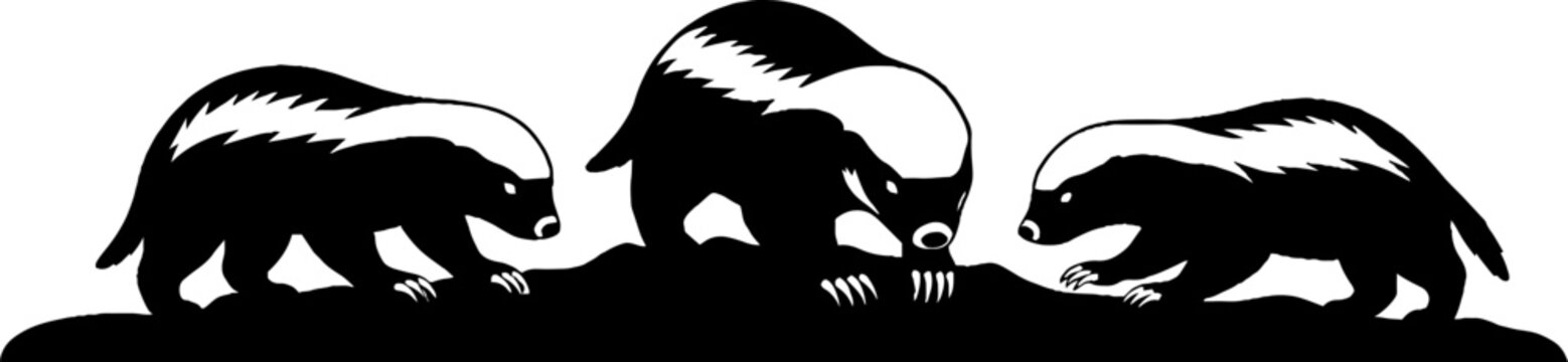 Three black skunks walking in a line silhouette.