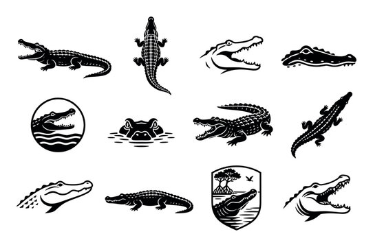 Crocodile and alligator black vector icon set featuring various wild reptile silhouettes, head profiles, and emblem designs for logos and mascots