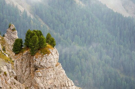 Cliffs fragments in the Dolomite Alps   
