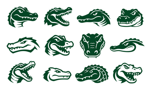 Green alligator and crocodile head mascot logos feature fierce reptile characters with sharp teeth and aggressive expressions for sports teams and school emblems