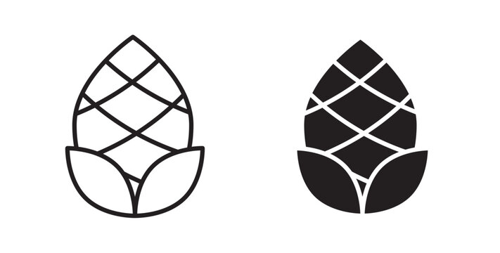 Fir cone icon for website, apps and UI.