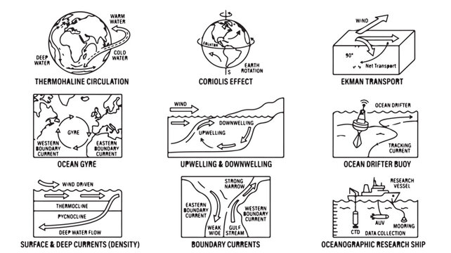 Earth science diagrams with thermohaline circulation, ocean currents and coriolis effect in black and white line drawings on white background for educational materials
