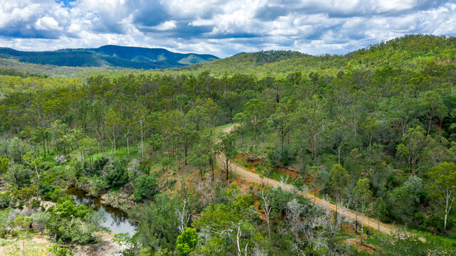 Area surrounding a freshwater swimming hole in the summer