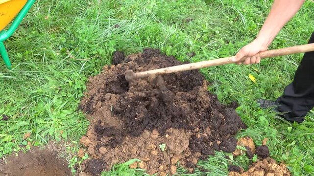 Man using a hoe to mix a pile of soil with well-rotted manure for garden planting