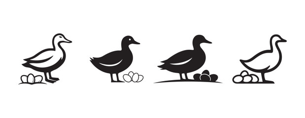 Obraz premium Black and White Duck Family Artwork
