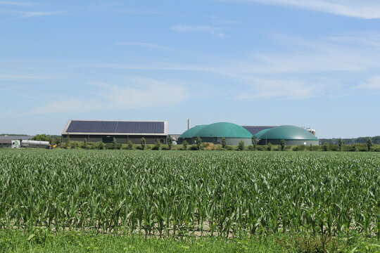 a biogas plant and a field with corn in front in the dutch countryside in summer