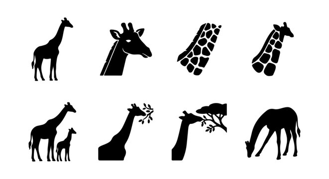 Giraffe Silhouette Icons, Safari Wildlife Vector Graphics, African Mammal Animal Illustrations, Zoo Collection