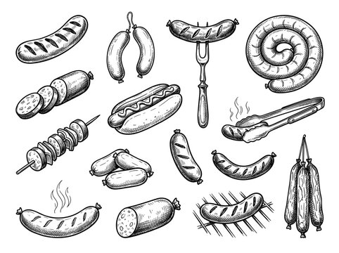Hand draw barbecue sausage vector illustration set, black ink sketch of grill bratwurst and chorizo on white background