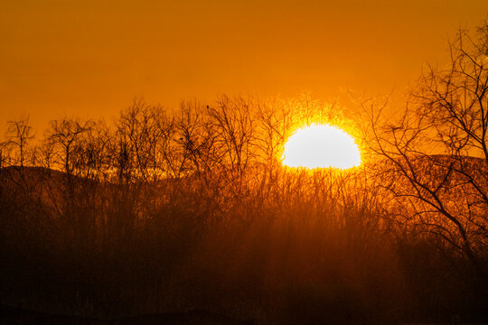 Sun setting over hills and trees