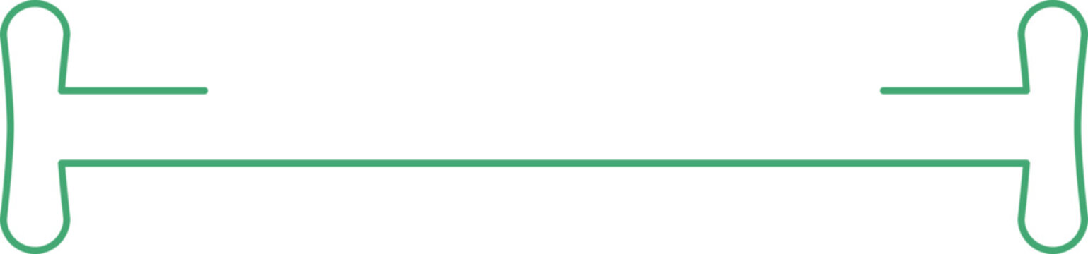 AAV Genome ssAAV