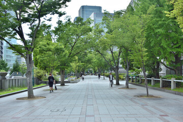 Fototapeta premium 大阪市役所の南歩道
