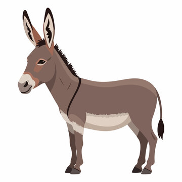 Illustration of a Donkey Standing Profile View.