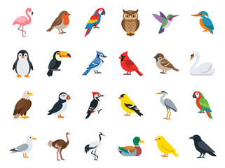 Obraz premium A collection of various colorful bird species illustrated in a flat vector style.