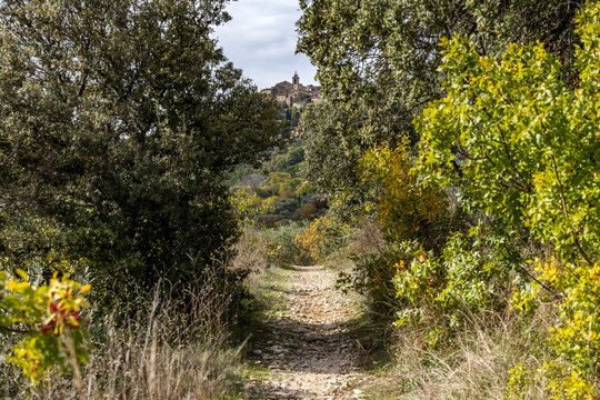 Rural pathway with old town in distance