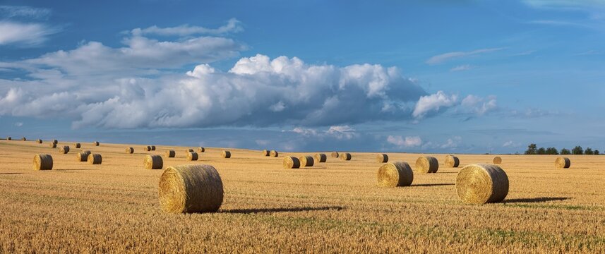 Panorama, Harvest time, Endless field with straw bales, Stubble field under blue sky with clouds in summer, Burgenlandkreis, Saxony-Anhalt, Germany