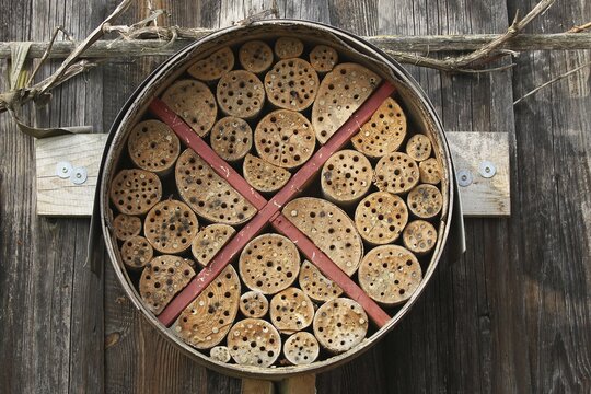 Insect hotel or insect house, nesting aid for a wide variety of insects, self-made, sealed tubes clearly visible, Lower Austria, Austria