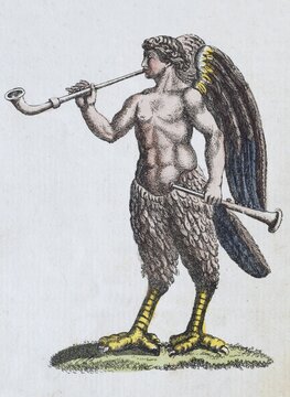 Siren, mythical creature, hand-coloured copperplate engraving from Friedrich Justin Bertuch's picture book for children, Vienna 1801