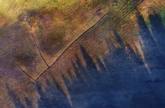 Drone shot, autumn landscape, coniferous forest casts long shadows on a moor meadow, Mondseeland, Salzkammergut, Upper Austria, Austria