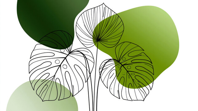 Line art illustration depicting various tropical monstera and palm leaves. Gracefully outlined in black on a white background. Complemented by soft