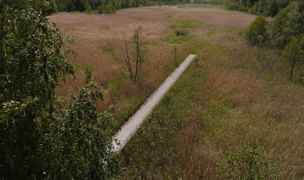 Aerial Drone View of Wooden Boardwalk Path Through Dry Marshland with Scattered Trees and Grass During Summer for Nature Exploration and Travel Concepts