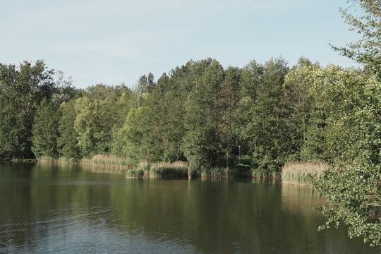 Tranquil Lake Reflecting Blue Sky and Green Trees in Serene Summer Landscape Idyllic Natural Backdrop for Peaceful Concepts