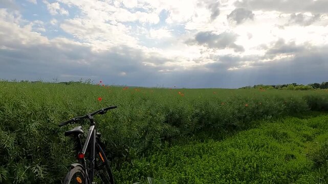 bicycle in the field. bike ride. Bicycle against the background of a field landscape.