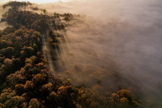 Aerial view of autumn forest shrouded in thick morning mist with sunbeams piercing through the trees Superga, Piemonte, Italy.