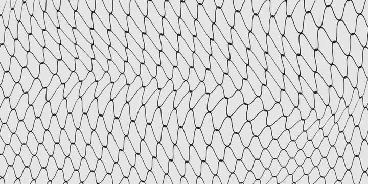 Black snake skin pattern isolated on white background eps 10
