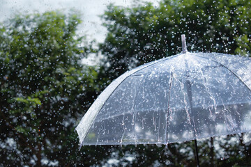 Transparent umbrella under heavy rain with water droplets, rainy weather concept, protection from storm and seasonal rainfall in nature. © Chandet