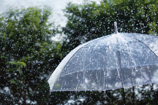 Transparent umbrella under heavy rain with water droplets, rainy weather concept, protection from storm and seasonal rainfall in nature.