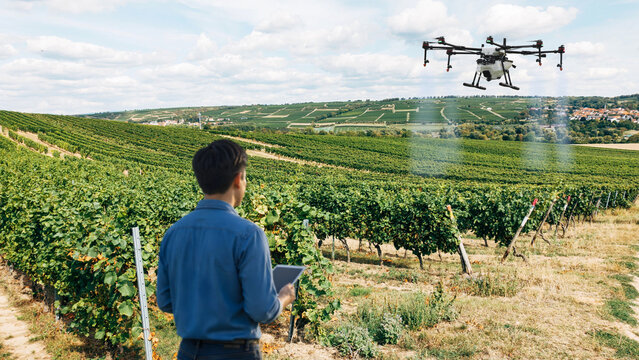 Farmers use laptops to control drones for spraying fertilizer in their vineyards.