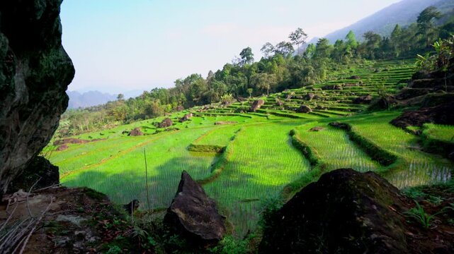 Stunning Breathtaking Lush Green Terraced Rice Fields in Pu Luong, Vietnam, Scenic Rural Agriculture Landscape and Mountainous Nature Reserve

