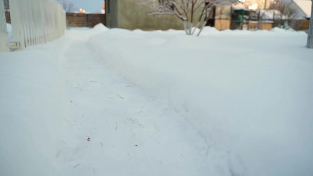 Snow covered backyard with path in winter