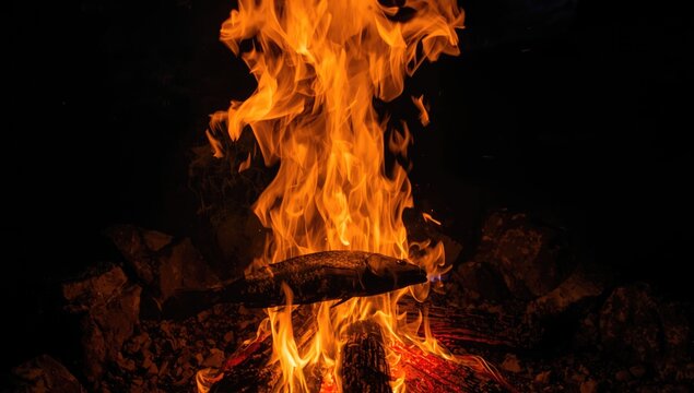 Fire flames engulfing a log in a campfire