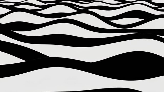 Abstract black and white flowing wave patterns animation