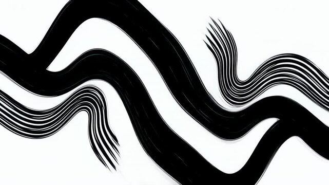 Abstract black and white zebra stripes animation loop