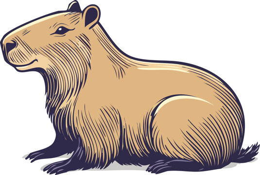 A charming illustration of a capybara, a large rodent known for its docile nature and semi-aquatic lifestyle. The drawing captures the animal's distinctive features, including its blunt snout.