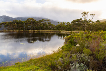 Fototapeta premium pond , grass , trees and Klein Mountains, Stanford, South Africa as the morning fog burns off