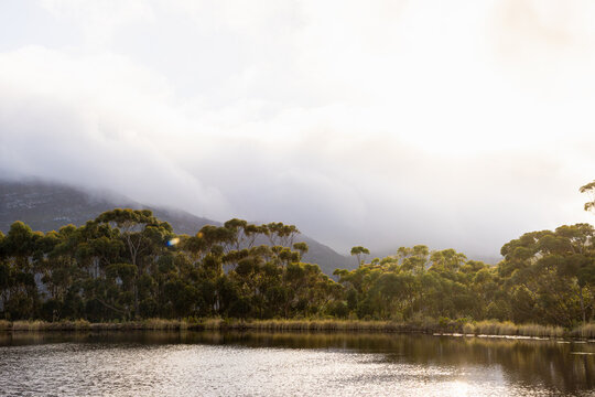 pond , grass , trees and Klein Mountains, Stanford, South Africa as the morning fog burns off