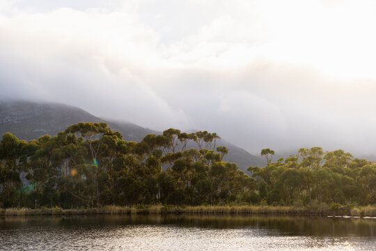 pond , grass , trees and Klein Mountains, Stanford, South Africa as the morning fog burns off