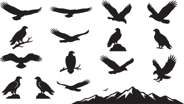 Black silhouette eagles flying and perched on mountain