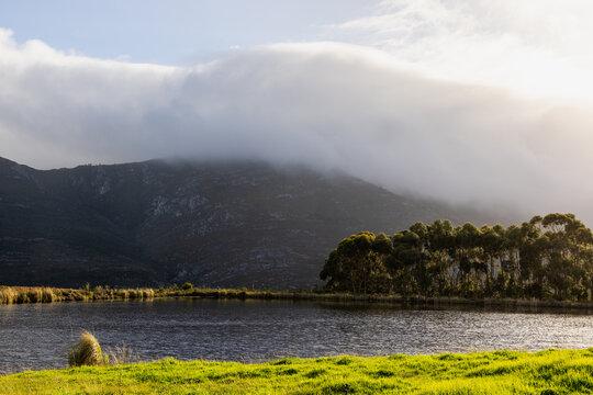 pond , grass , trees and Klein Mountains, Stanford, South Africa as the morning fog burns off