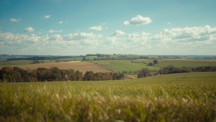 Fototapeta premium Extensive Farming Terrain with Bright Sky and Flowing Hills Capturing Rural Charm