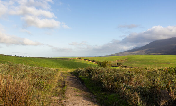 morning light on fields as clouds cast shadow,Stanf South Africa